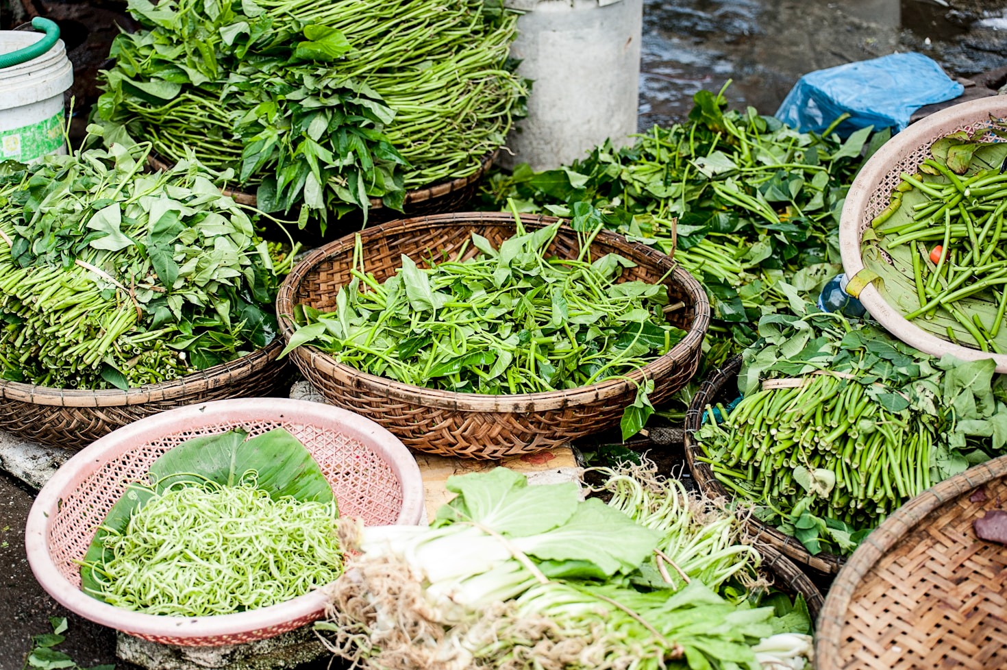 5 Reasons to Consider TCM for Weight Loss